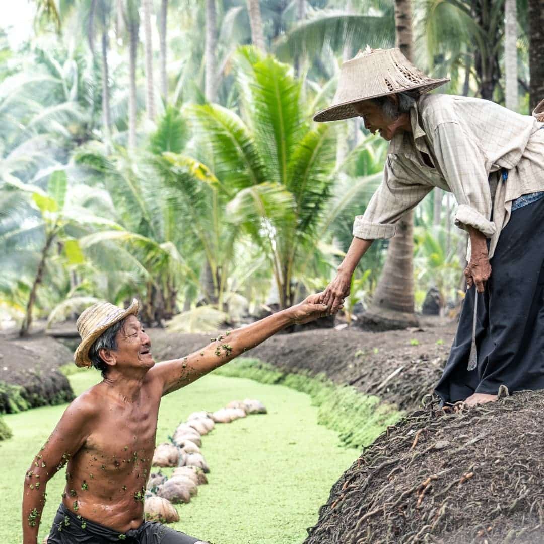 Farmer reaching out to help another farmer in a field.