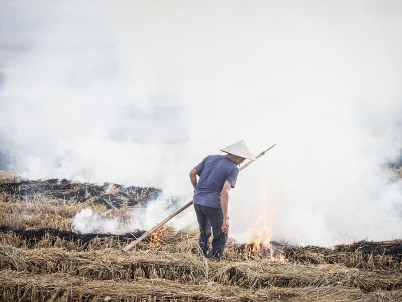 Farmer in a field burning crop residue, surrounded by smoke.