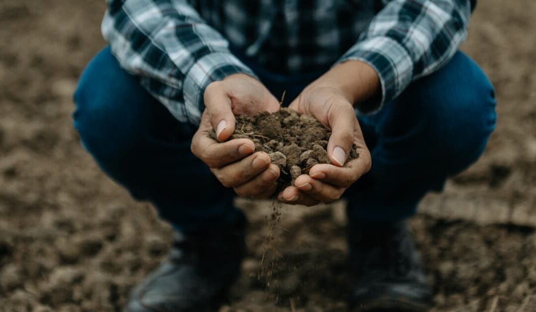 5 Essential Practices to Improve Soil Health for Sustainable Agriculture