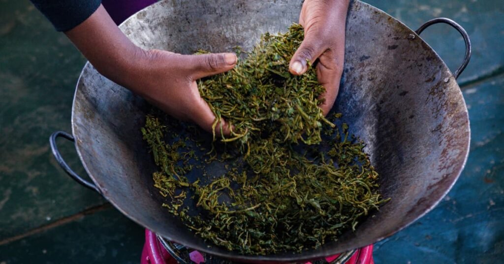 The Role of Seaweed Farming in Sustainable Development