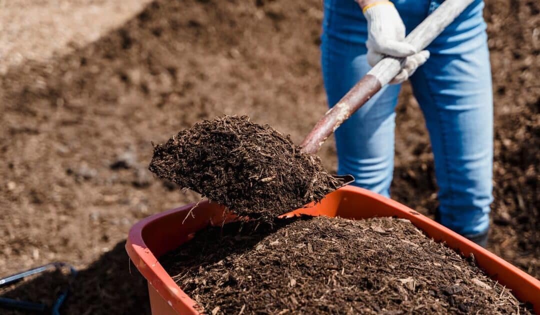 Unlocking the Secrets of Healthy Soils: Water Retention and Nutrient Balance