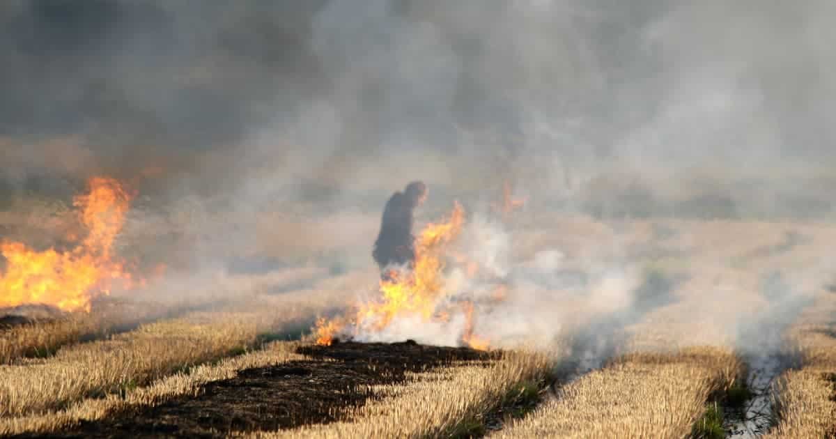 Types and sources of air pollution from crop burning